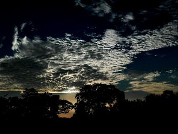 Low angle view of silhouette trees against sky