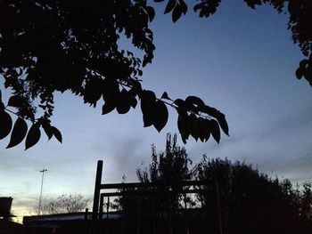 Trees against sky