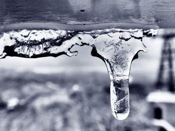 Close-up of icicles against blurred background