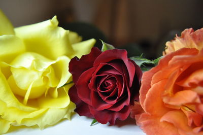 Close-up of rose bouquet