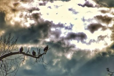 Low angle view of cloudy sky