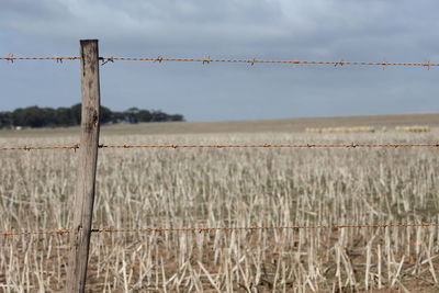 Barbed wire against sky