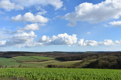 Scenic view of agricultural field against sky
