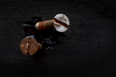 High angle view of mushrooms on table