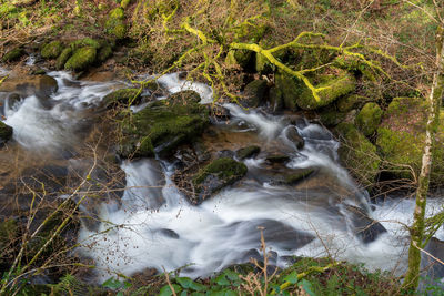 Stream flowing through rocks in forest