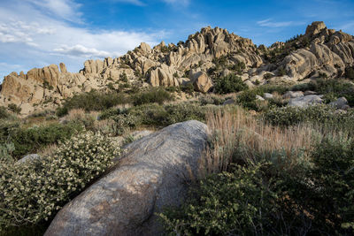 Rock formations and white wildflower bushes in bloom  eastern sierra nevada mountains california usa