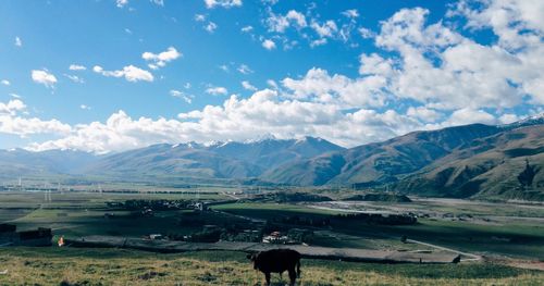 Scenic view of landscape against sky