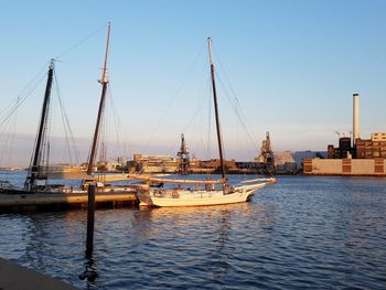 Boats moored at harbor against clear sky