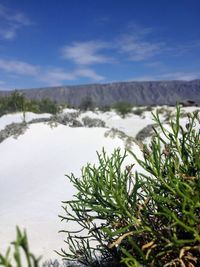 Scenic view of snow covered land against sky