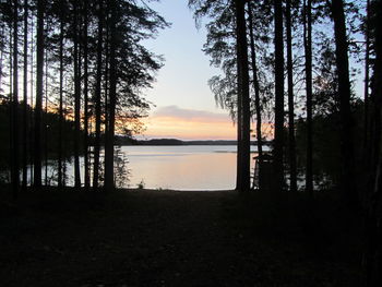 Silhouette trees by lake against sky at sunset