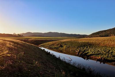 Scenic view of field against clear sky