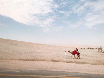 Horse riding horses