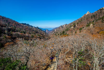 Woman walking amidst bare trees against mountains