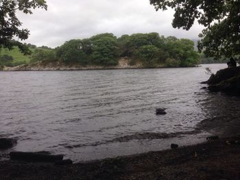 Reflection of trees in calm lake