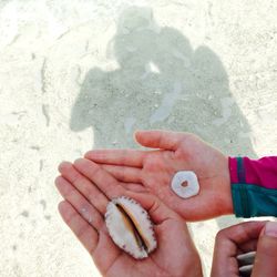 High angle view of hands on sand