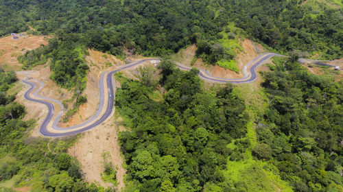 High angle view of winding road amidst trees in forest