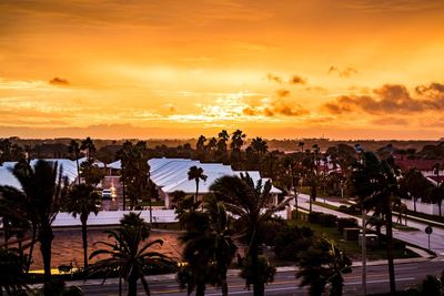 Palm trees by swimming pool against sky during sunset