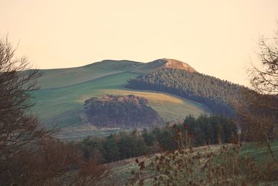 Scenic view of landscape against clear sky