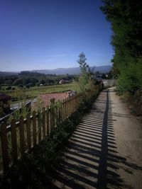 Footpath amidst plants on field against clear sky