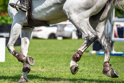 Horse jumping, equestrian sports, show jumping competition themed photograph.