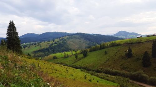 Scenic view of landscape against sky