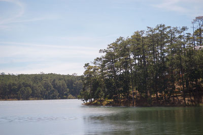 Scenic view of river amidst trees in forest against sky