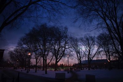 Silhouette bare trees against sky at night