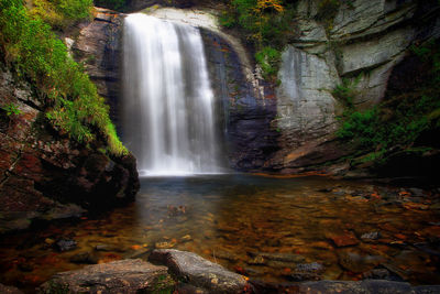 Scenic view of waterfall in forest