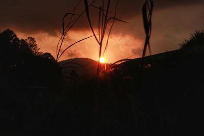 Silhouette trees on field against orange sky