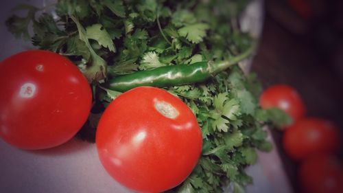 Close-up of tomatoes