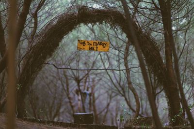 Information sign on tree against sky