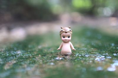 Close-up of figurine on in puddle