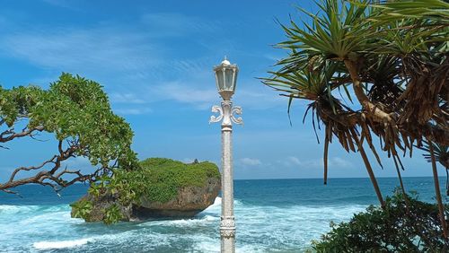 Palm tree by sea against sky