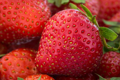 Close-up of strawberries