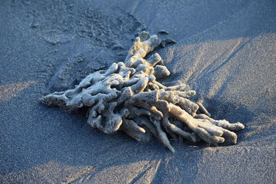 High angle view of stones on beach