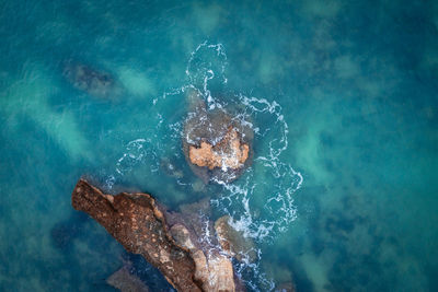 High angle view of person swimming in pool