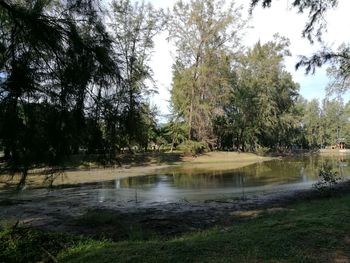 Scenic view of lake by trees against sky