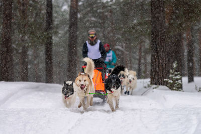 People with dog in snow during winter