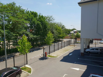 Road by trees in city against sky