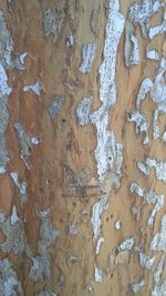 Full frame shot of stone wall