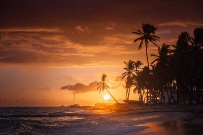 Sunset on the paradise beach. tropical paradise, white sand, beach, palm trees and clear water.