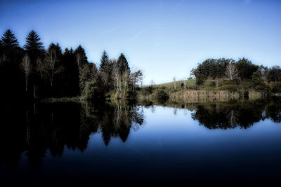 Reflection of trees in lake against clear blue sky