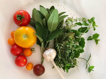 High angle view of fruits and vegetables on plate