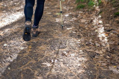 Low section of man standing on ground