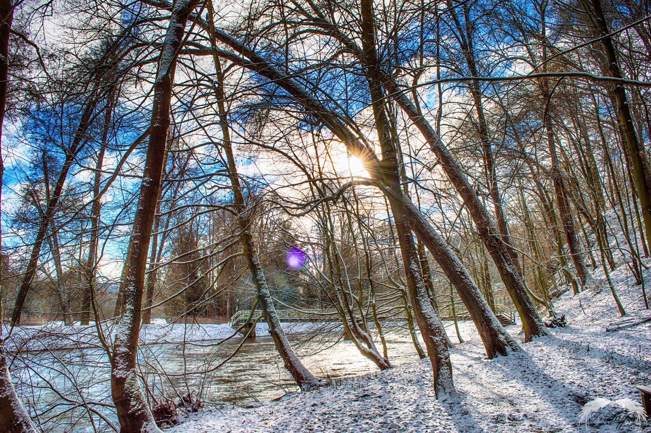 tree, tranquility, sun, tranquil scene, bare tree, sunlight, beauty in nature, nature, scenics, tree trunk, sunbeam, landscape, snow, branch, growth, winter, lens flare, sky, non-urban scene, forest