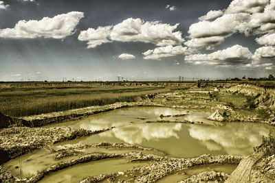 Scenic view of agricultural field against sky
