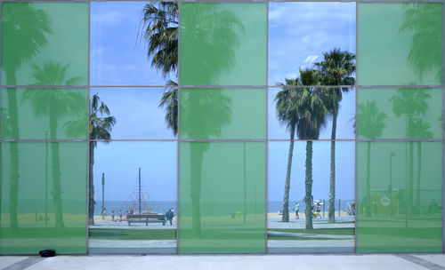 Palm trees by swimming pool against sky seen through window