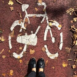 Low section of woman at bicycle lane