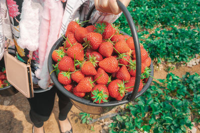 High angle view of fruits in basket at market