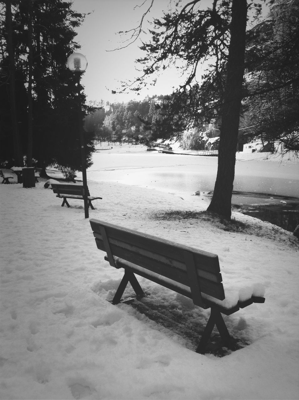 snow, bench, tree, winter, empty, cold temperature, absence, tranquility, chair, season, nature, park bench, tranquil scene, seat, wood - material, weather, park - man made space, tree trunk, day, outdoors